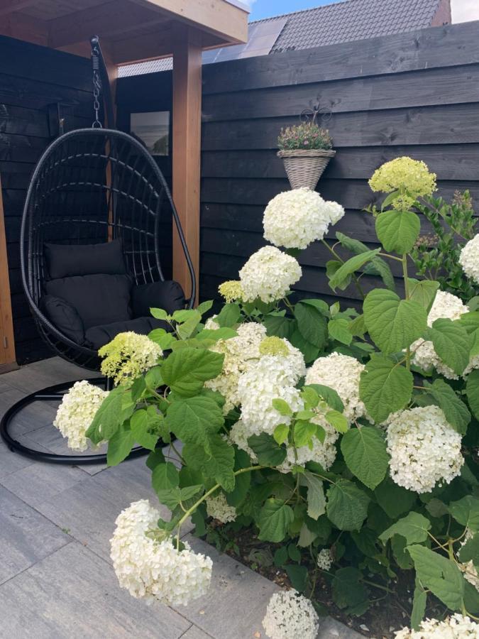 Logies Zen & Zilt Veere Vila Exterior foto