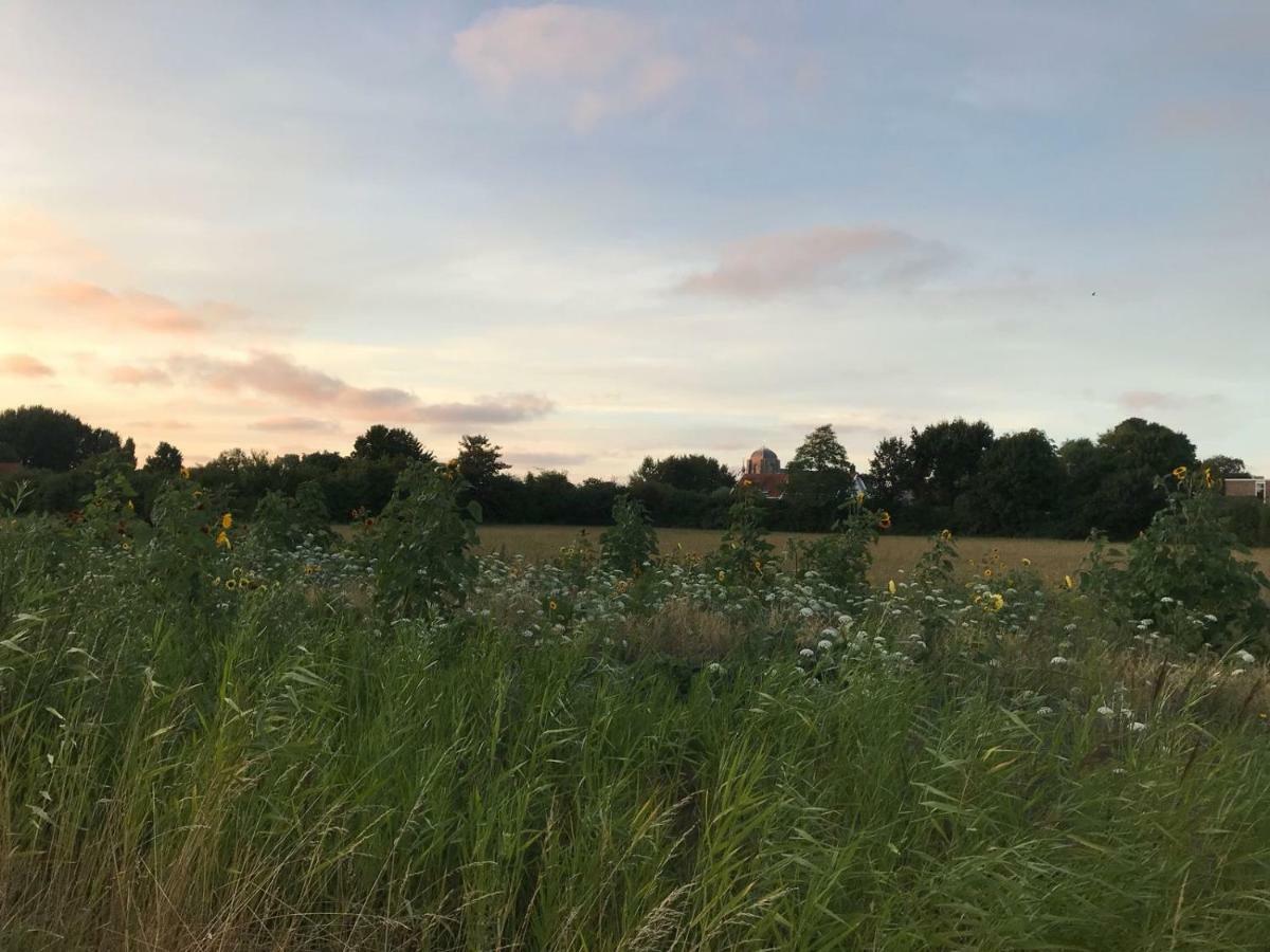 Logies Zen & Zilt Veere Vila Exterior foto